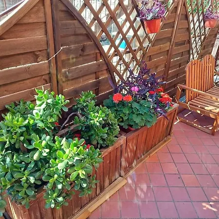 Sunhouse Laureana