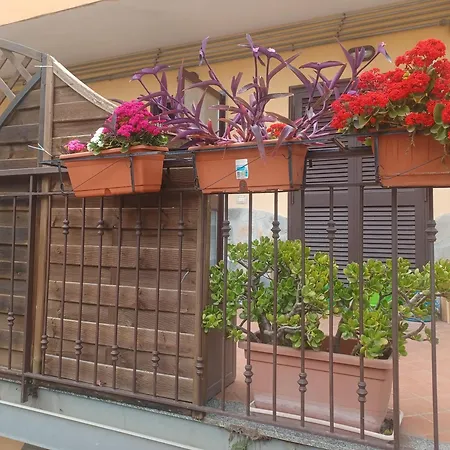 Sunhouse Laureana Matonti